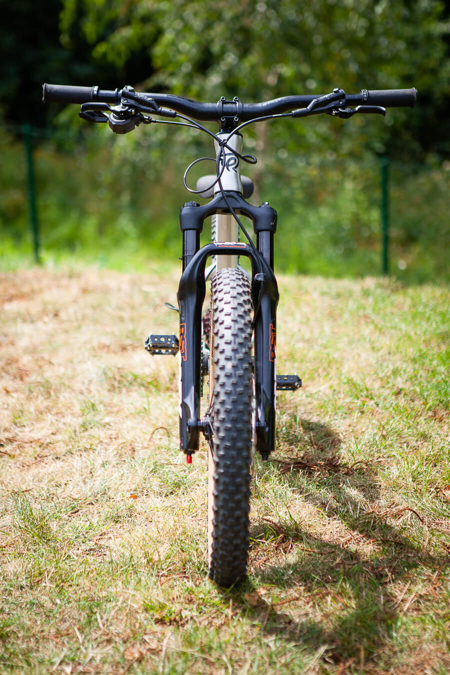 20 inch downhill bike