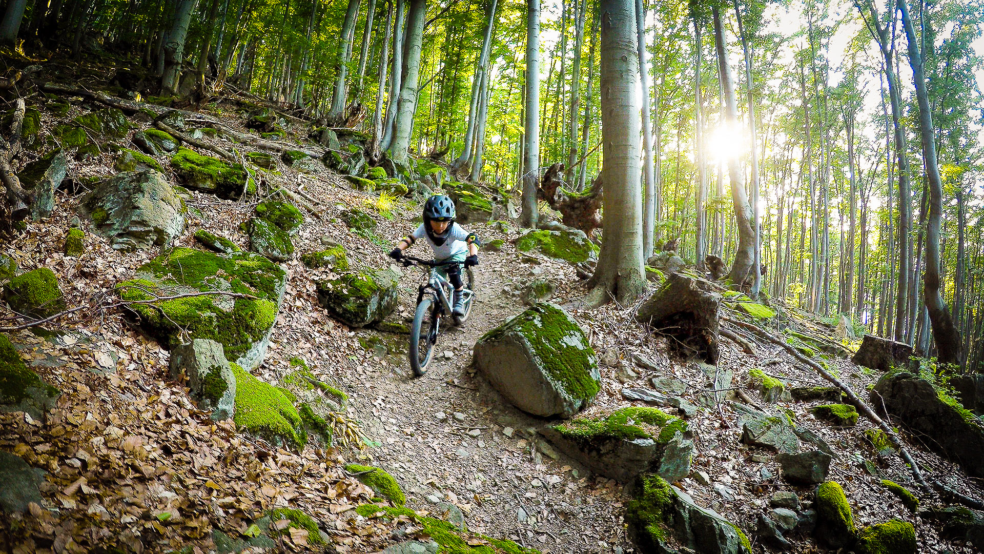 5 year old kid riding Early Rider Hellion 20 on a steep trail